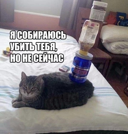 Мой сборник баянов