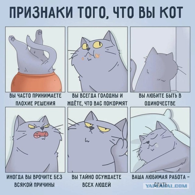 Мультяшки и немного чернухи. 18+