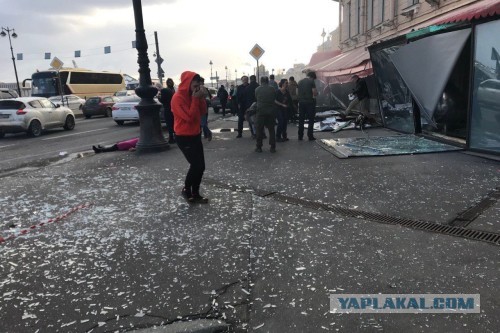 Про Дарью Трепову которая передала бомбу