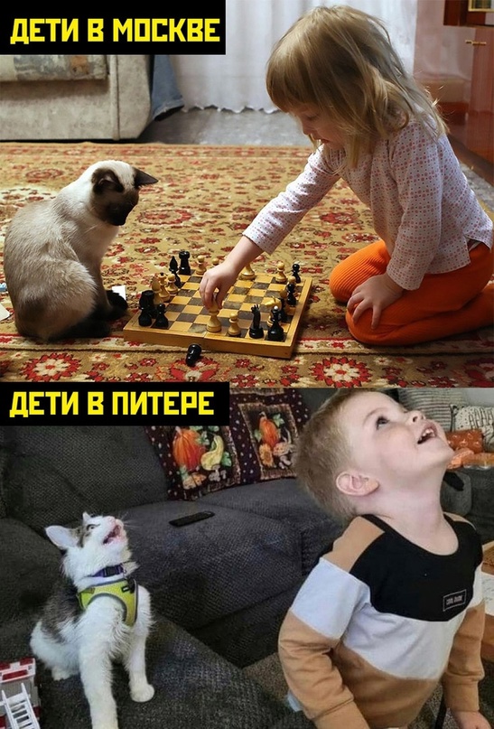 Весёлый полтишок 16.04.23