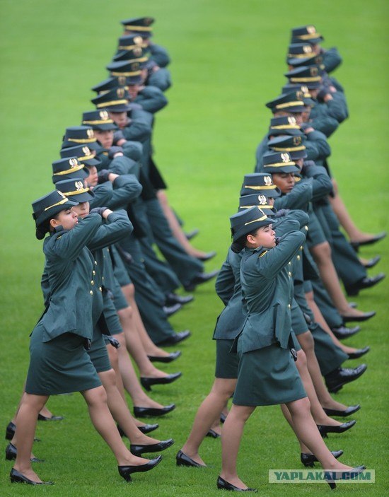 "А ну-ка девушки" по-колумбийски!