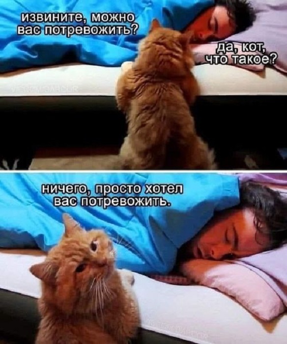 Картинки разные с надписями и без