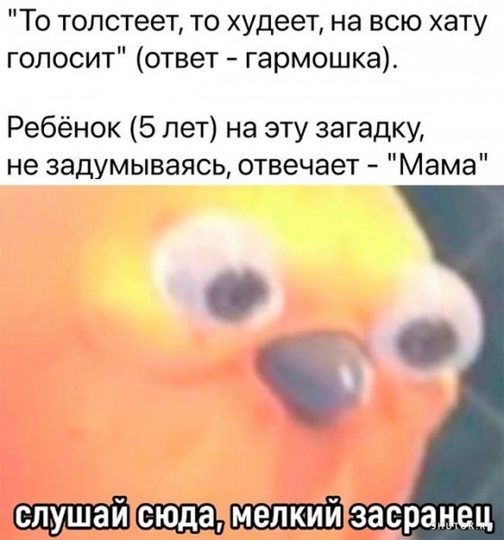 Завалялось тут случайно немного забавных картинок