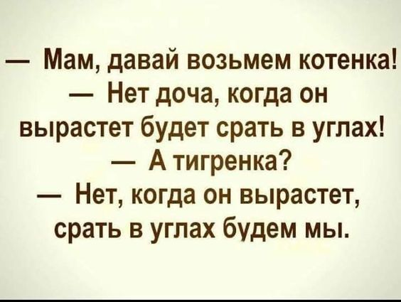 Домашний кот весом 600 кг