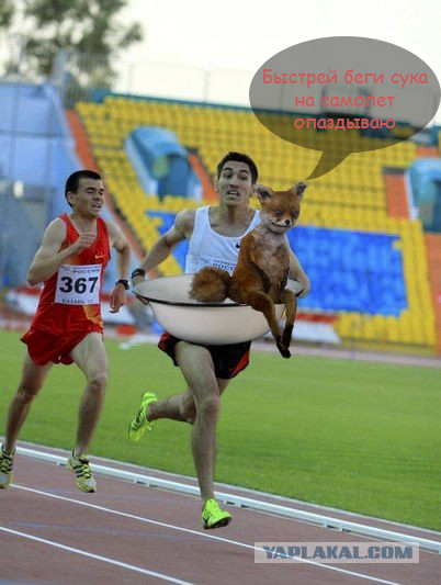 Моя первая фотжаба.