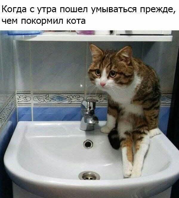 Омерзительная восьмерка