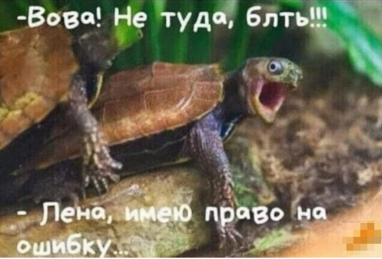 Адам
