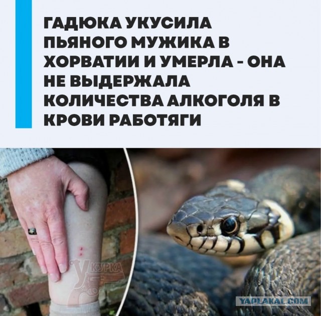 Картинки 15 октября