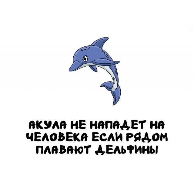Интересные и короткие факты на все случаи жизни 05.01.26