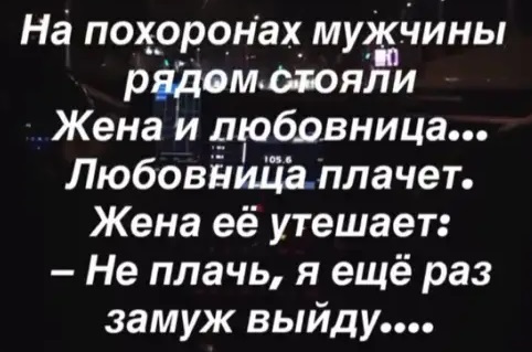 Мой кот