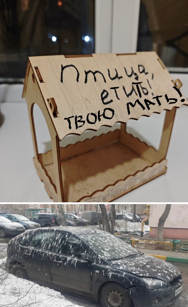 Птица, ешь!