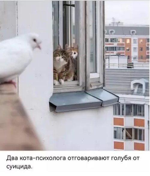 Картиночки, баянчики 28 марта