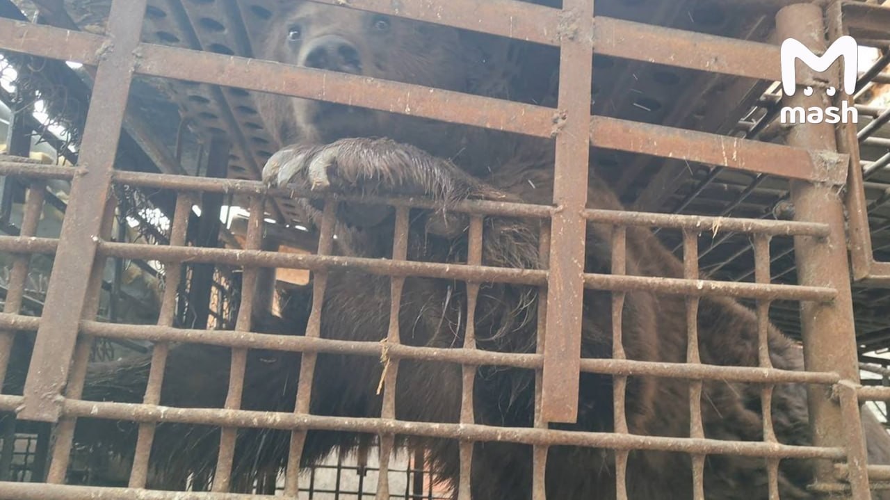 Самая русская история с Урала