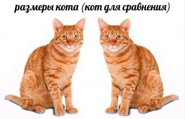 Картинки для деградации 210 (разной степени свежести)