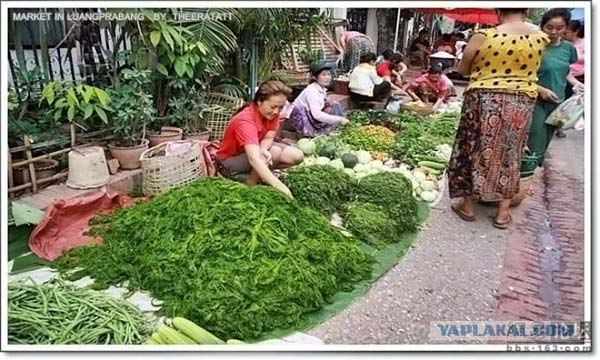 Утренний азиаткий рынок.