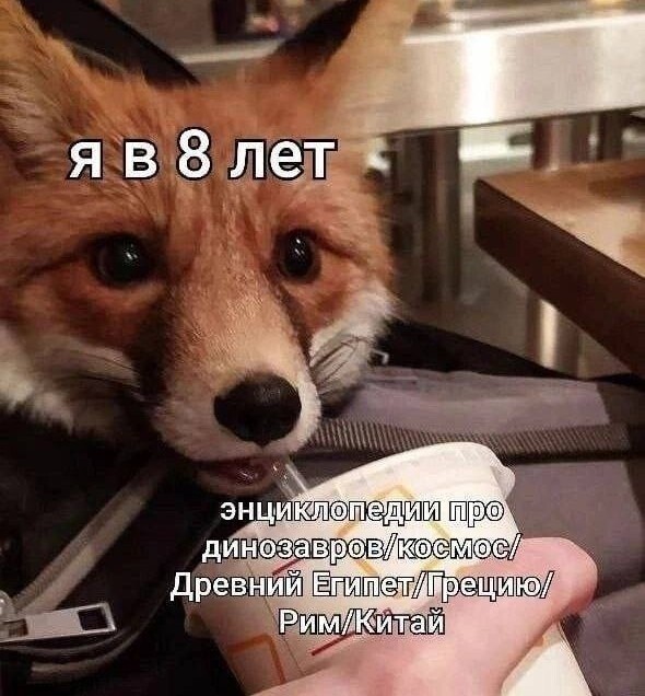 Картиночки, баянчики 25 июля