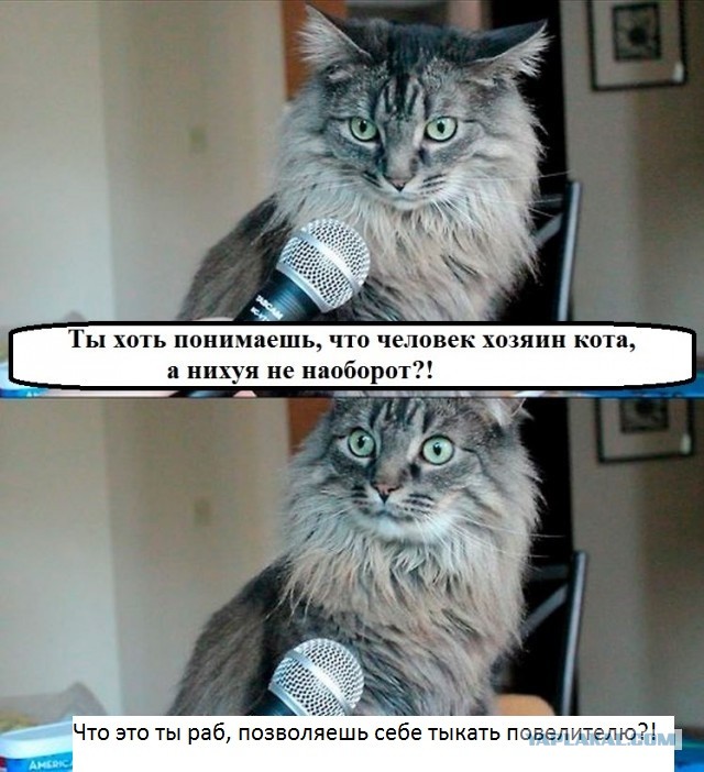 Вот это поворот!