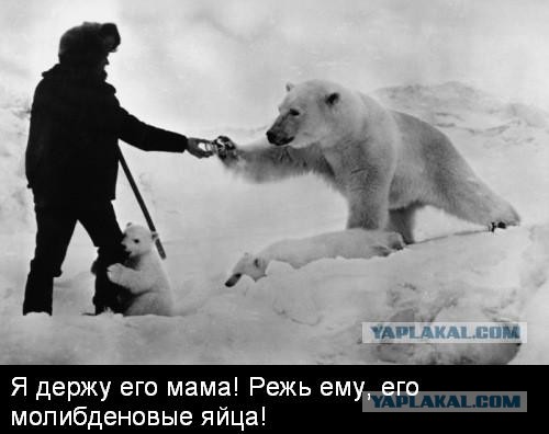 Фото на память!