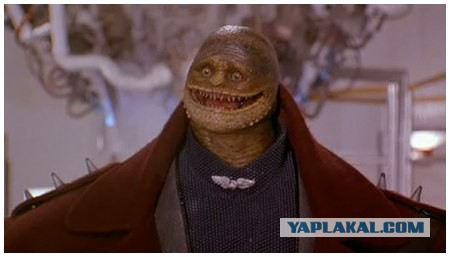 Немного физкультуры
