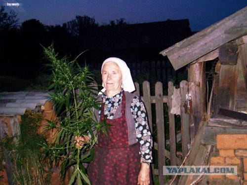 Желаю всем холодненького в Пятницу
