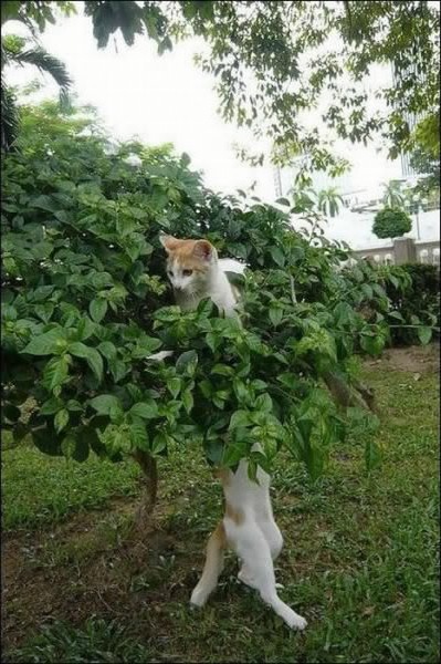 Подборка забавных и курьезных фотографий