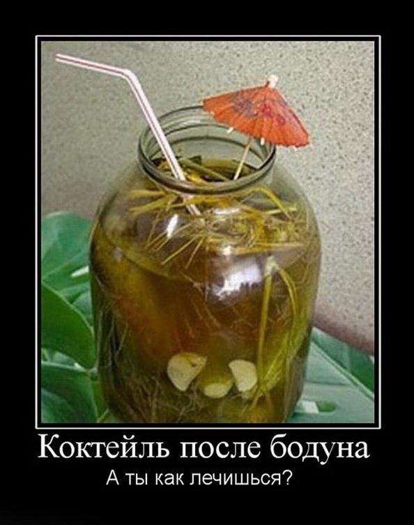 Демотиваторы.