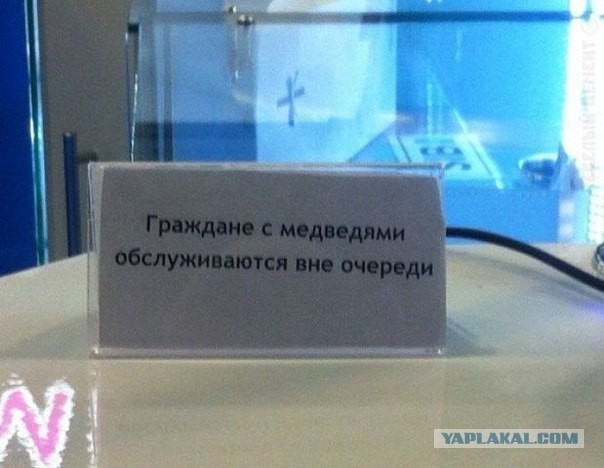 Новый мидвет!