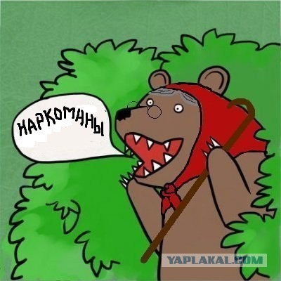Медведи почти на все случаи жизни