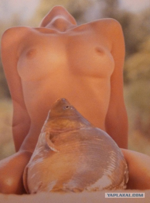 Из "подслушано", очередной выпуск