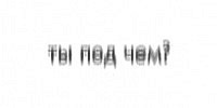 Вежливость