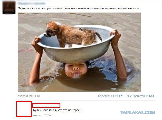 Смешные комментарии из социальных сетей 02.08.14