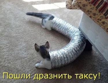 Чёрт, чёрт, чёрт!