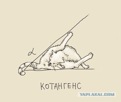 Прикольные пикчи