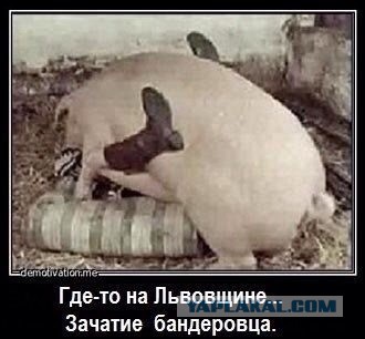 Хрен оккупанту достанется Украина
