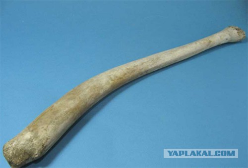 15 фактов про МПХ