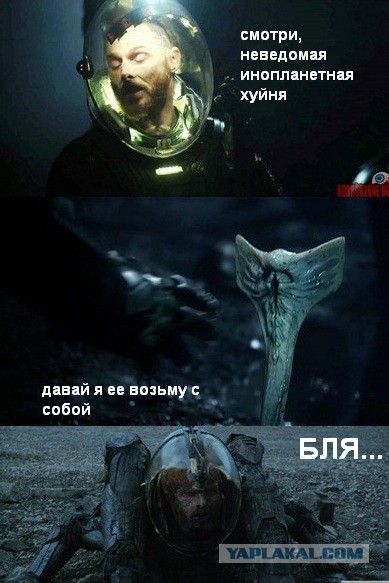 Вся суть ужастиков