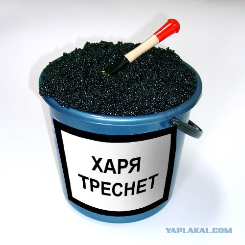 Особое мнение