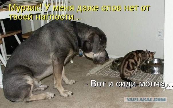 Веселые картинки