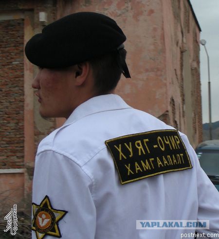 Прикольные картинки.