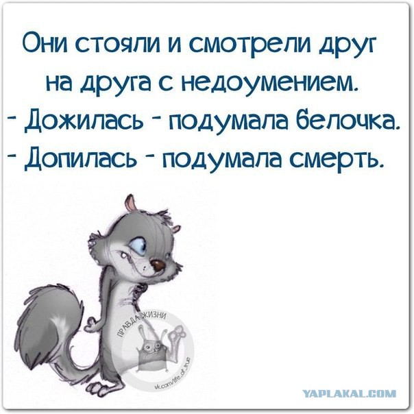 Весёлое из сети