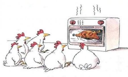 Нефтедоллары с высоты птичьего полета