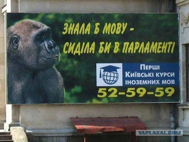 Начальник конвоя Савченко назвал украинский язык