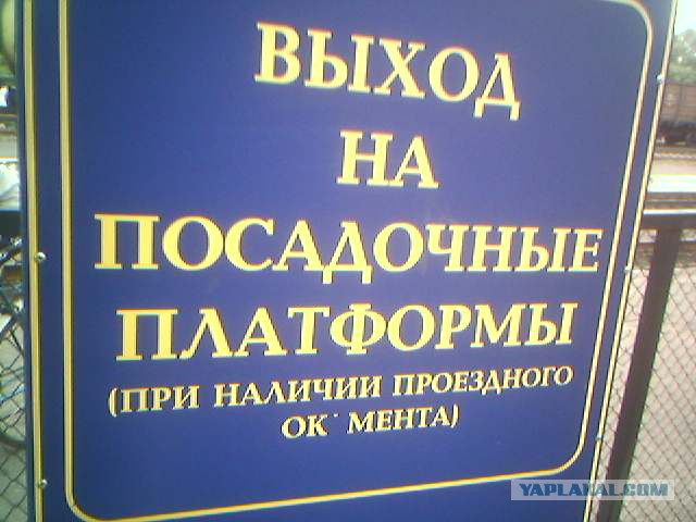 Казусы жизни