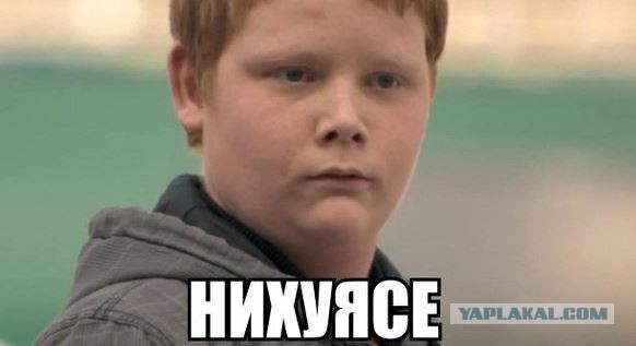 Курицы  за рулем