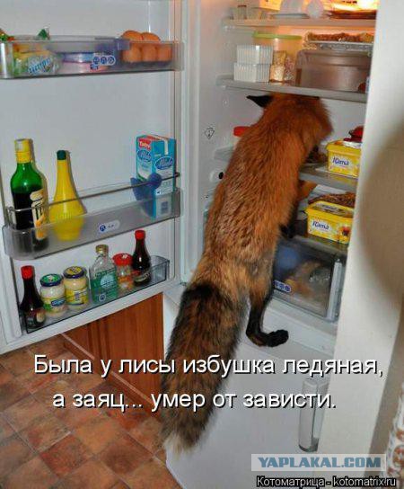 Очередные картинки