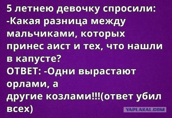 Картинки из сети