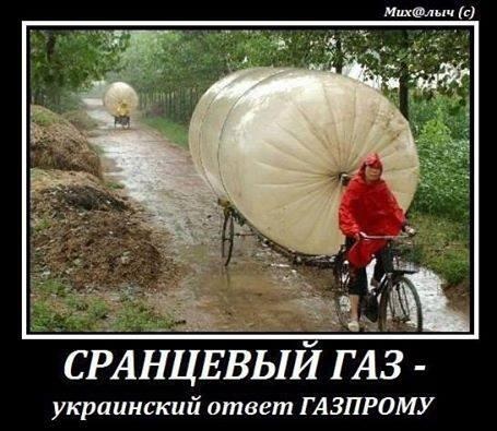 10 политических картинок часть 19