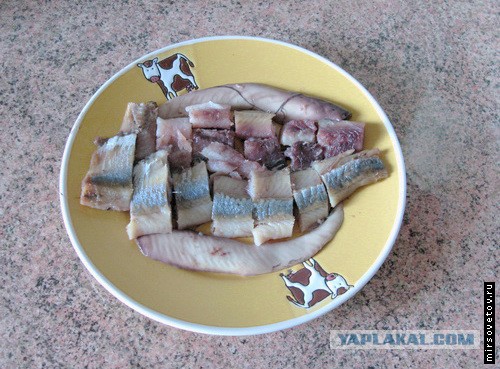 Любит наш народ