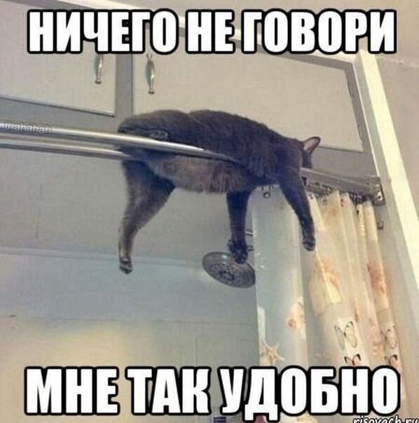 Спим в неожиданных местах и позах