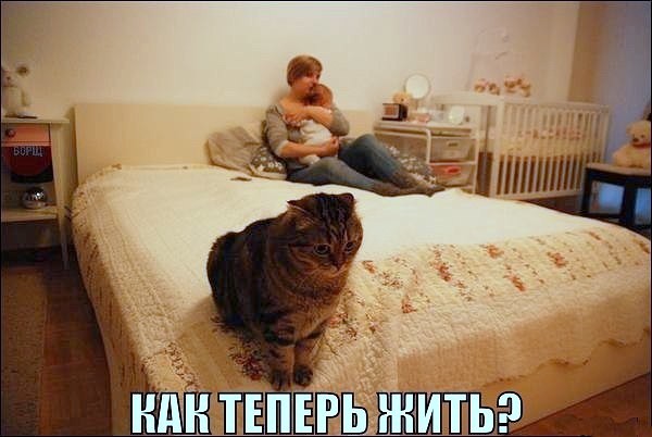 Кошка любила и хранила малыша, когда он был в животе мамы